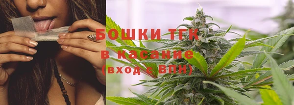 спиды Бородино