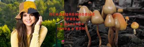 спиды Бородино