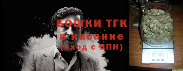 спиды Бородино