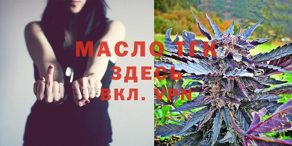 спиды Бородино