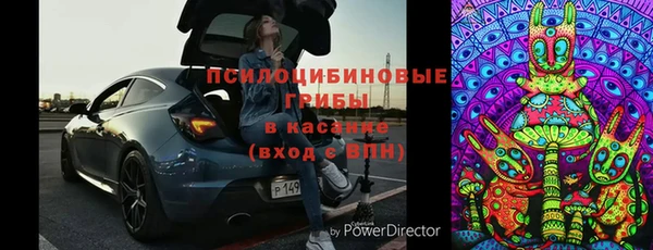 спиды Бородино
