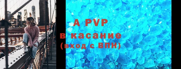 спиды Бородино