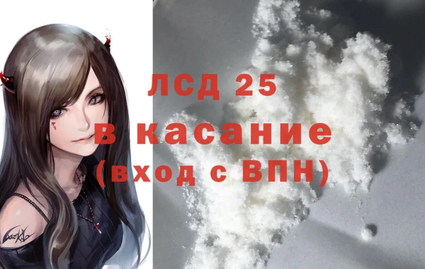 спиды Бородино