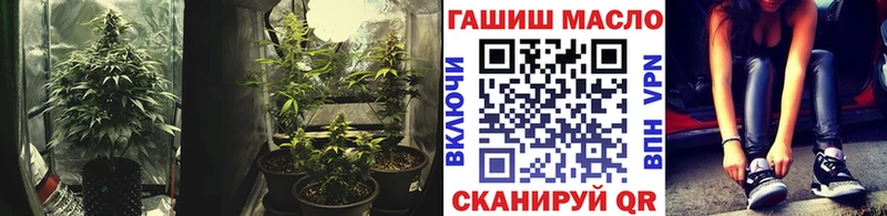 Купить где  Отрадное  ТГК THC oil 