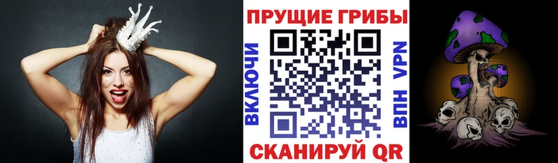 Галлюциногенные грибы GOLDEN TEACHER  Купить закладки  Отрадное 